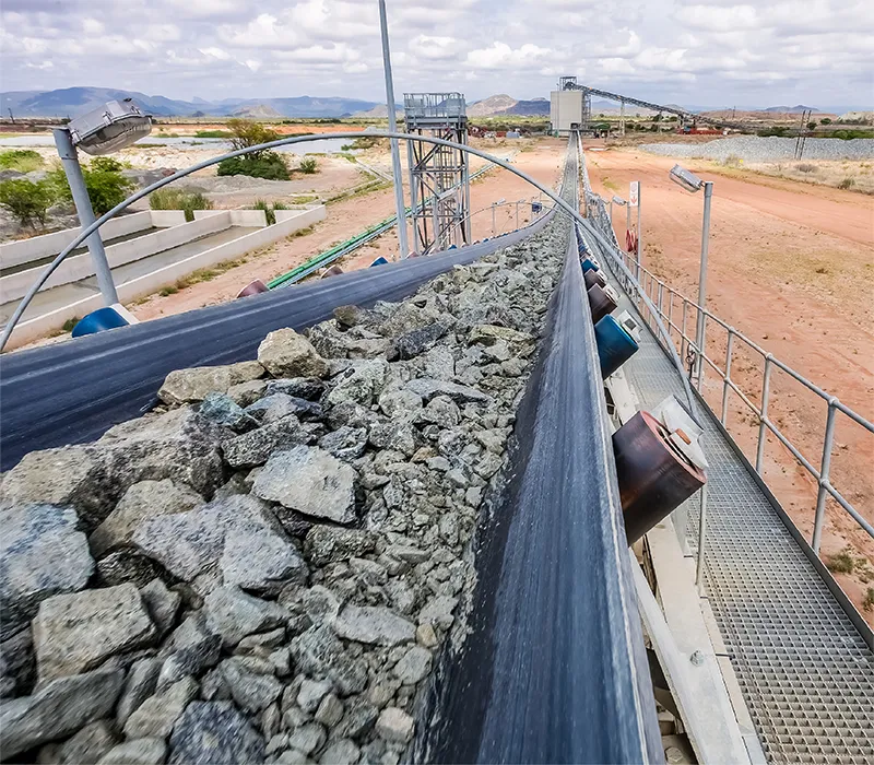 CFW Conveyor Belt