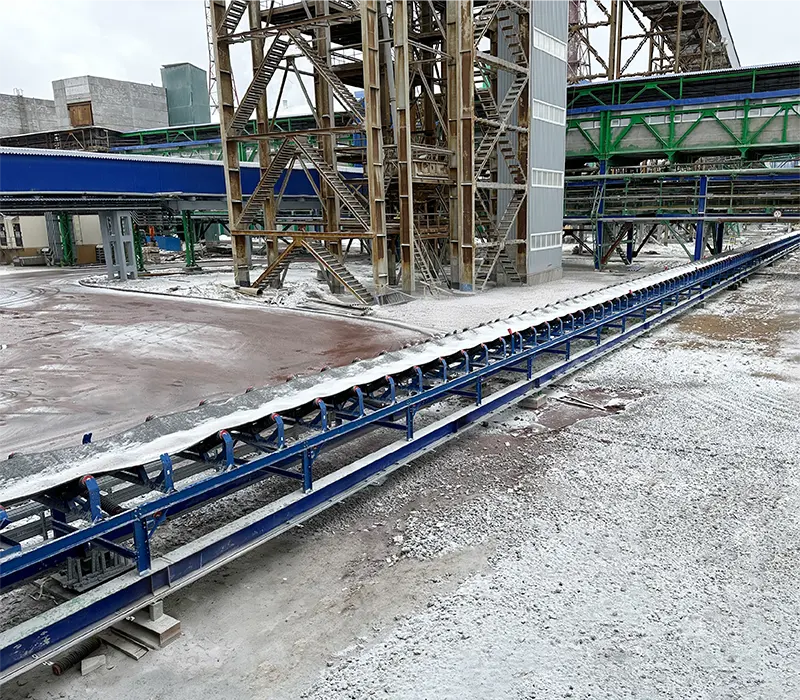 Cold Resistant Conveyor Belt