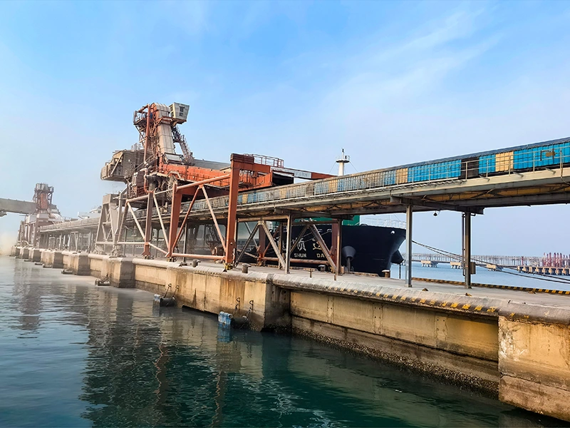 Port High TPH Sidewall Conveyor Belt