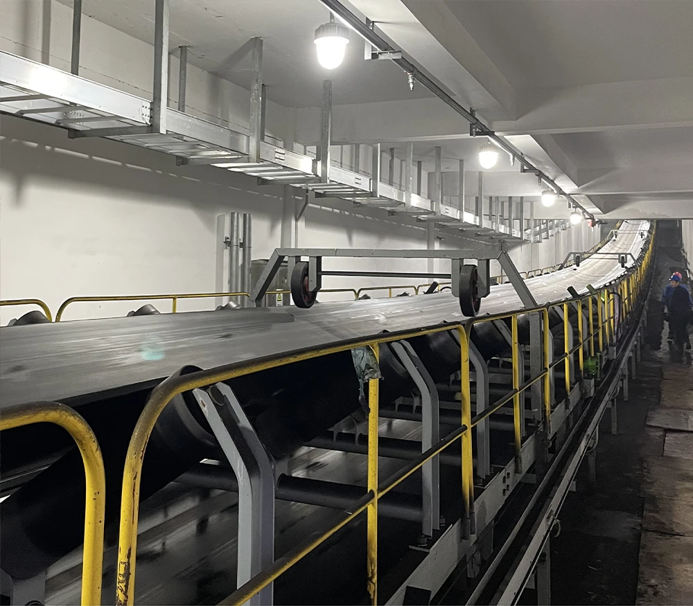 Steel Cord Conveyor Belt